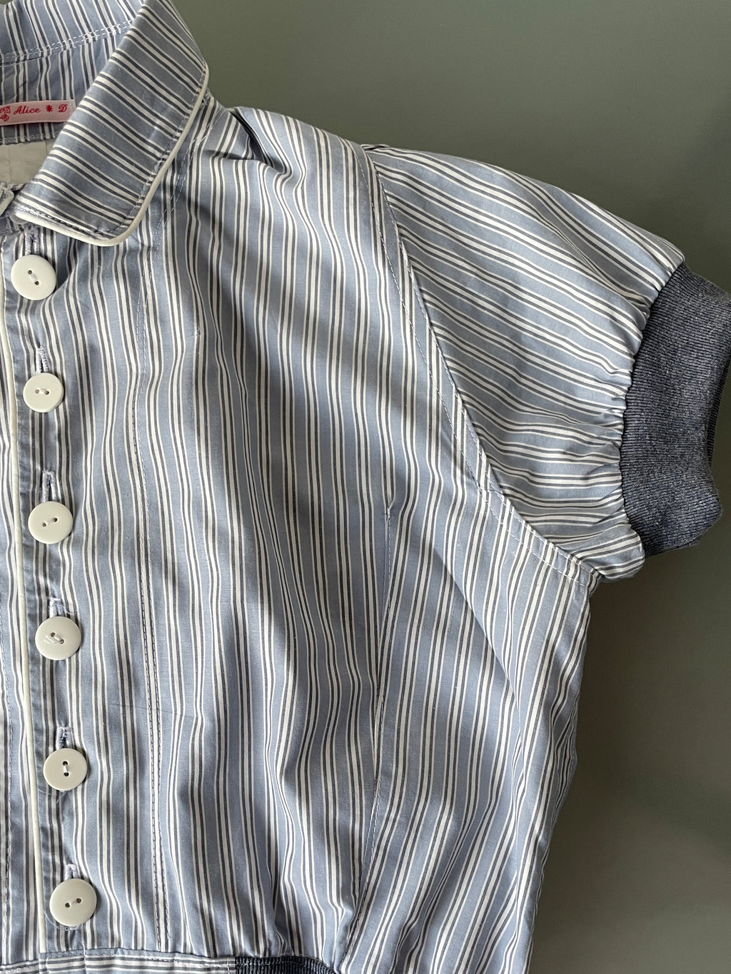 cropped pinstripe button up jacket with collar (lined)