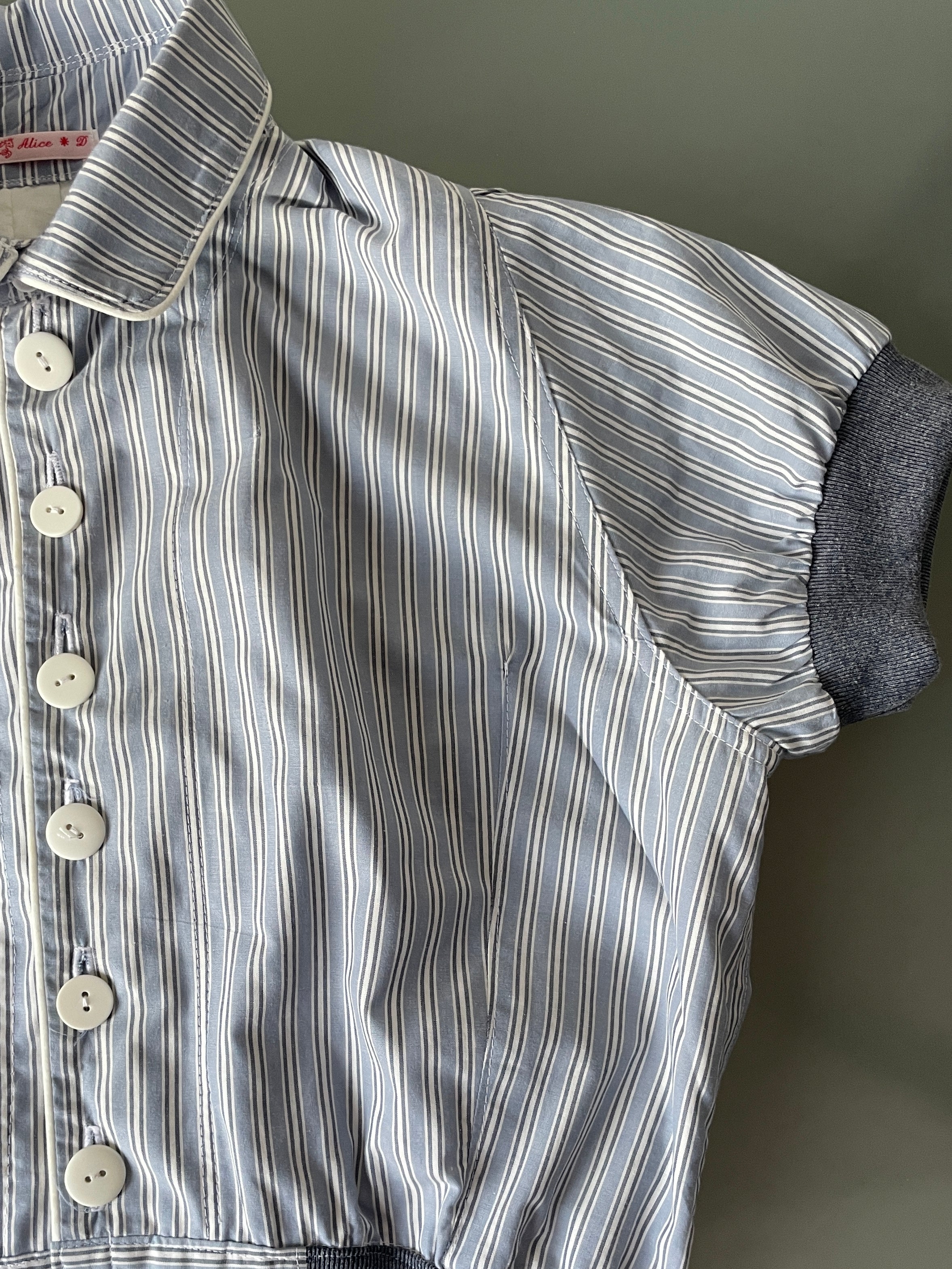 cropped pinstripe button up jacket with collar (lined)