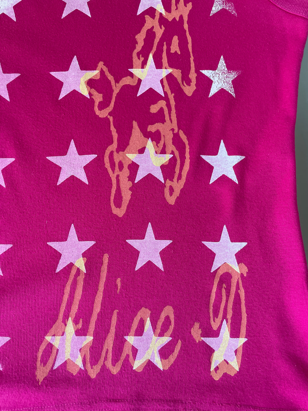handmade screen printed star horse graphic tank top in pink