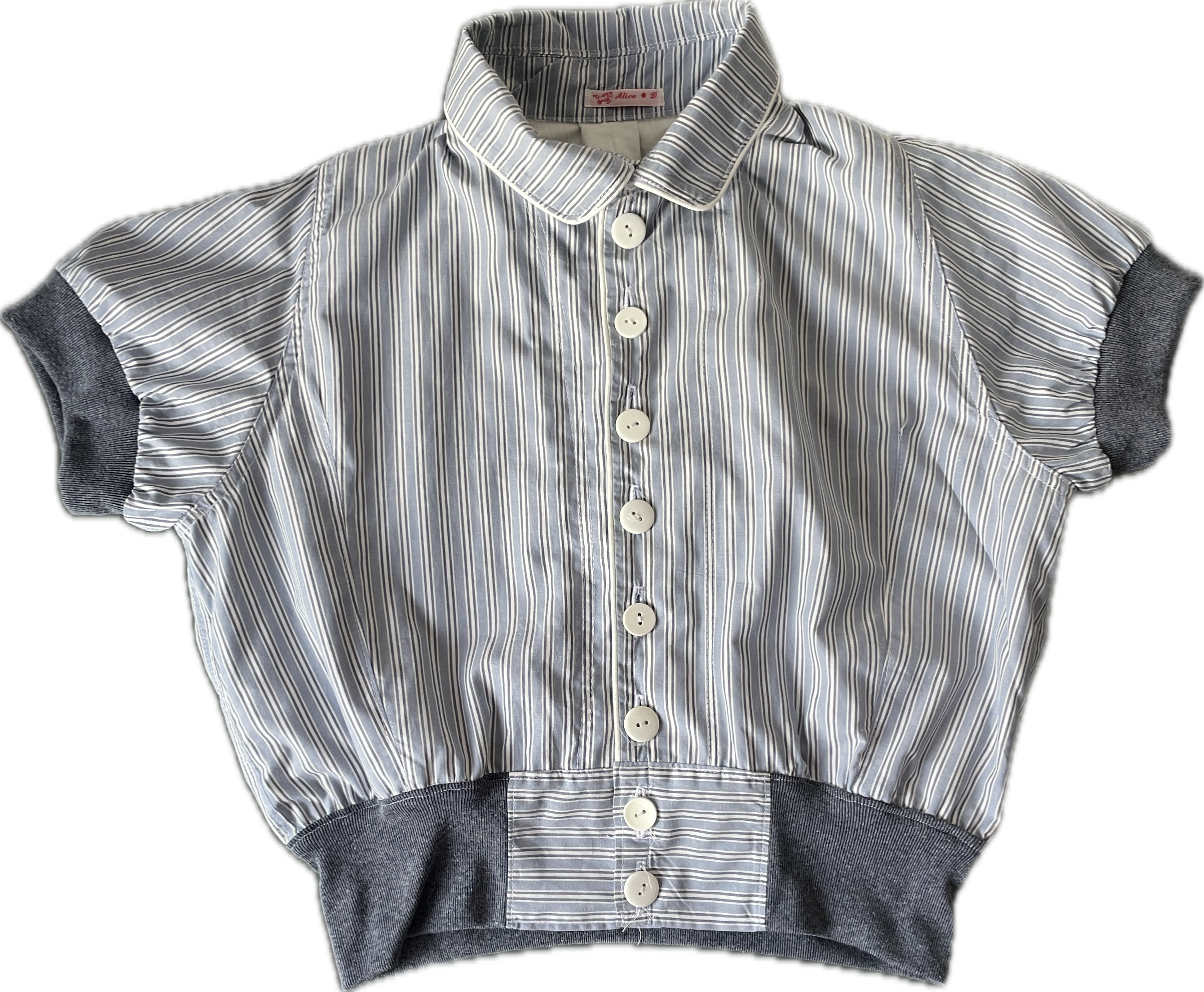 cropped pinstripe button up jacket with collar (lined)